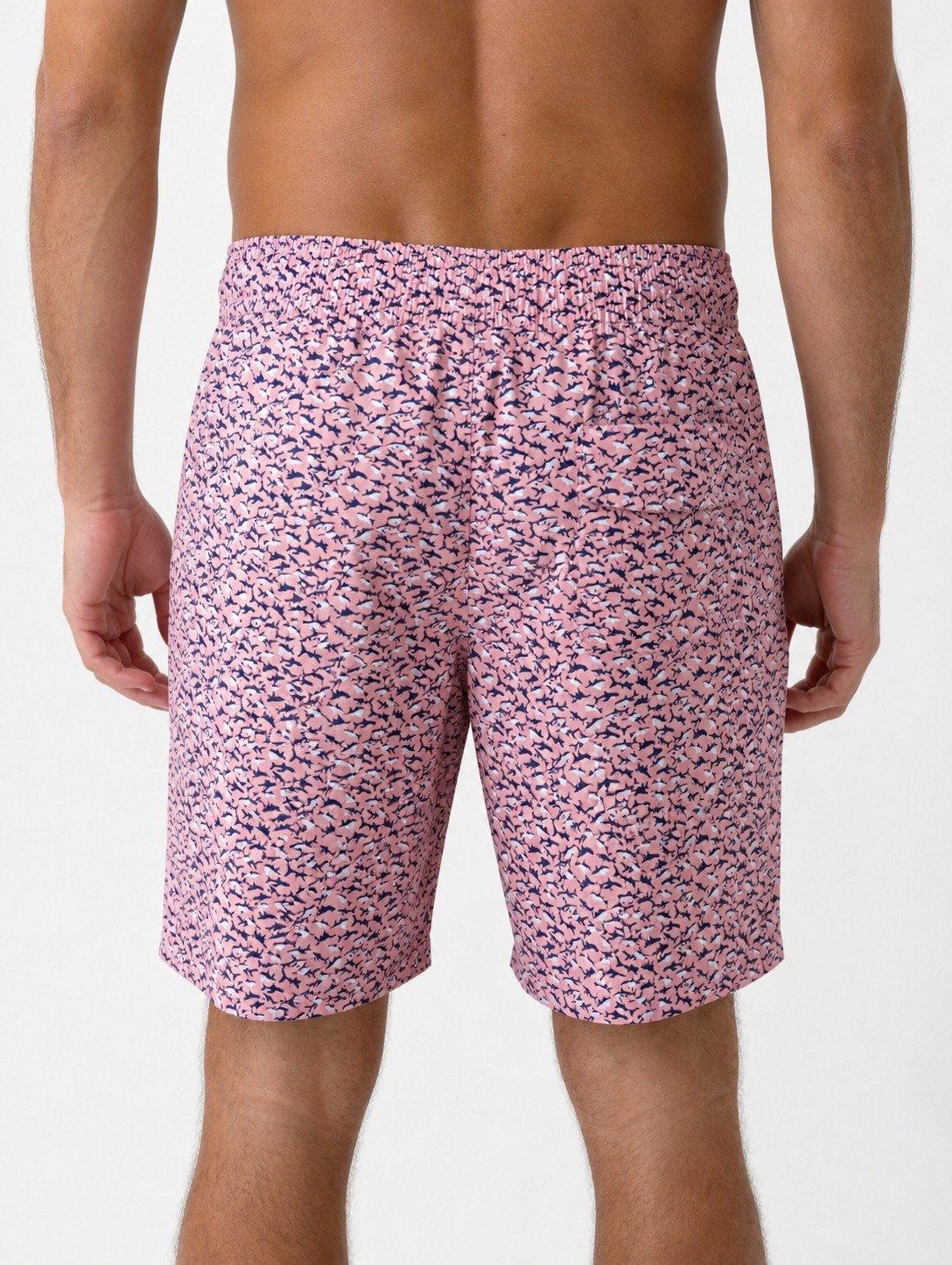 ST-Short Bluewave Swim Pink Sharks - Imagen 3